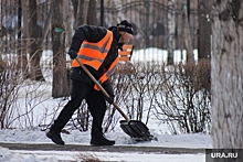 В осенний призыв на альтернативную службу направили восемь тюменских призывников