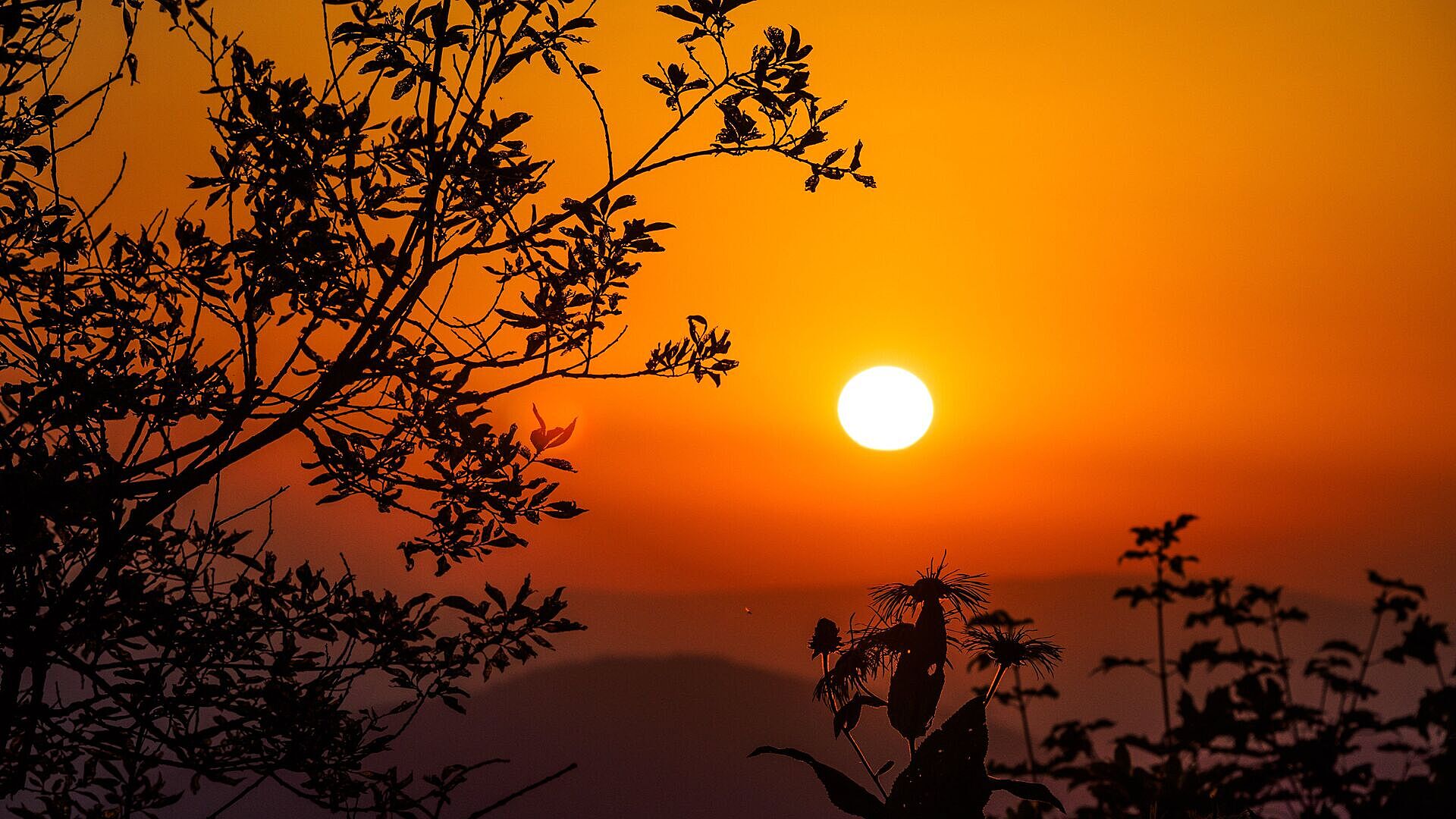 Сохраняя солнце. Солнышко в сердце. Солнце в руках. Солнце и человек. Сохраняя солнце.