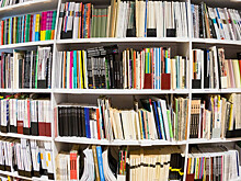 Сплошной нон-фикшн: россияне стали читать меньше художественной литературы