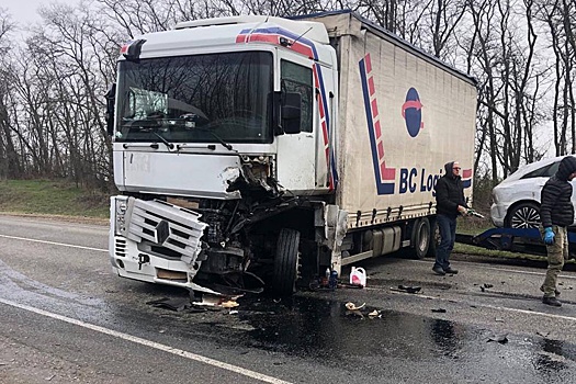 На Кубани в ДТП с грузовиком погиб водитель Opel, двое пострадали