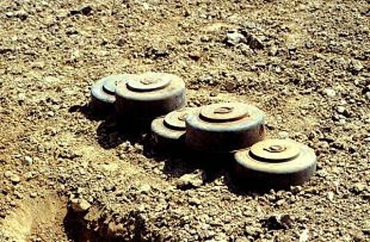 Во Владимирской области нашли противотанковую мину