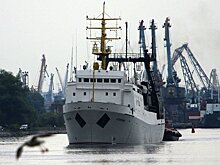 Исследования биоресурсов в российских морях сократились в 28 раз