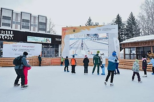 Волонтеры работают в подмосковных фан‑зонах Олимпиады