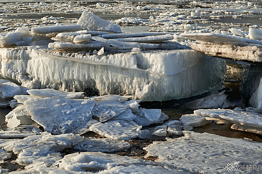Зарубежный ученый предупредил об опасности вирусов в тающих льдах России