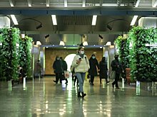 Экоинсталляция о "зеленых" облигациях открылась на станции метро "Деловой центр"