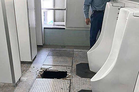 В Японии мужчина провалился в туалете на ж/д станции, когда зашел справить нужду