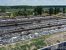 В неприятном запахе с очистных сооружений Курска виновата жара