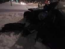 Водитель «Лады» погиб в Нижнем Новгороде после столкновения со столбом