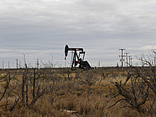 Цены на нефть обвалились
