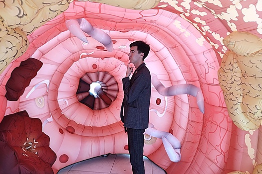 В Екатеринбурге посетителей ТЦ приглашали к врачам с помощью огромных надувных внутренних органов