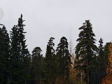 Воздух в селе Уральский, жители которого жалуются на неприятный запах, соответствует нормативам