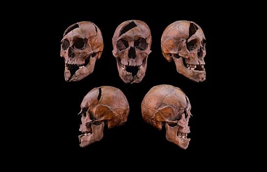 Останки жестоко убитого Рюриковича опознаны в Будапеште