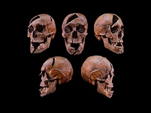 Останки жестоко убитого Рюриковича опознаны в Будапеште