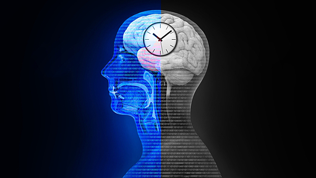 Создан пластырь-биосенсор, анализирующий циркадные ритмы по составу пота