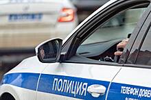 Молодой россиянин угнал у полицейских машину после задержания