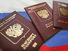 На Украине предложили лишать свободы за получение российского паспорта