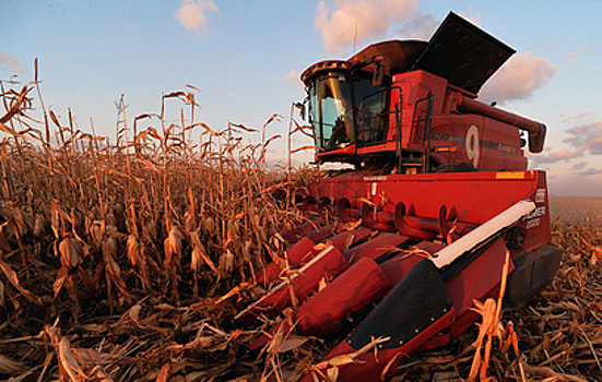В Приморье раньше срока начался сбор урожая кукурузы