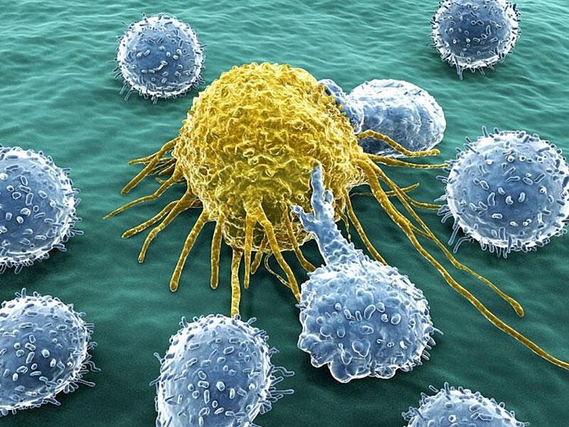 Ученые: здоровый образ жизни не спасает от рака