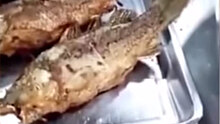 Жареная рыба «ожила» на тарелке в китайском ресторане: видео