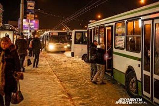 Транспорта нет. Почему жители посёлка Светлый не могут ездить в Новосибирск