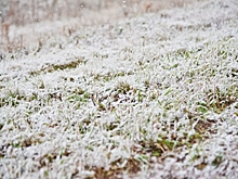 Синоптики рассказали, когда в Волгограде ждать первого снега