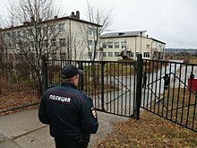 Специалисты оценили новую систему защиты школ от стрельбы