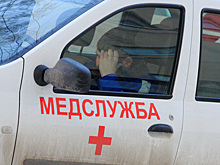 Двое пешеходов в Подмосковье погибли под колесами грузовика