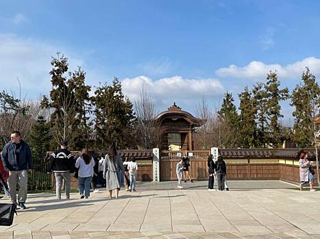 Краснодарцы создали дефицит билетов в Японский сад