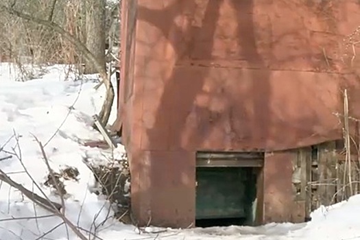 Остатки бункера скопинского маньяка для его жертв показали на видео
