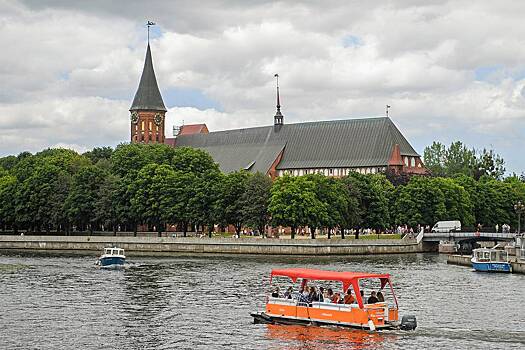 В Калининграде случайно обнаружили древнюю находку