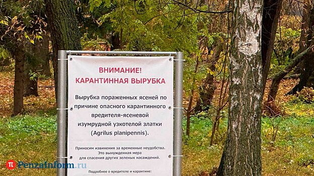 В управлении ЖКХ прояснили судьбу сквера им. Дзержинского