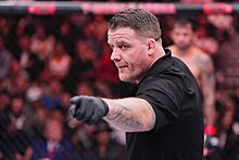 Судейство в ММА, конфликты бойцов и рефери в UFC, Марк Годдард, ошибки судей в ММА, ранние остановки в боях