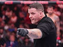 Судейство в ММА, конфликты бойцов и рефери в UFC, Марк Годдард, ошибки судей в ММА, ранние остановки в боях