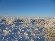 Жители арктического поселка на Таймыре переедут в новые дома