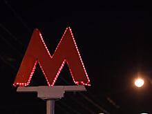 Власти разыграют буквы «М» московского метро на аукционе