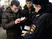 МВД готовит проект по организованному завозу мигрантов
