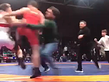 Спортсмены и зрители устроили массовую драку на первенстве по борьбе в Чечне