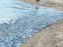В станице Голубицкой на берег Черного моря выбросило множество медуз