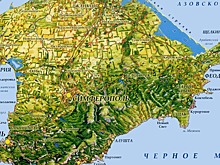 В Воронежской области из-за гибели посевов пересеяно 30% озимых