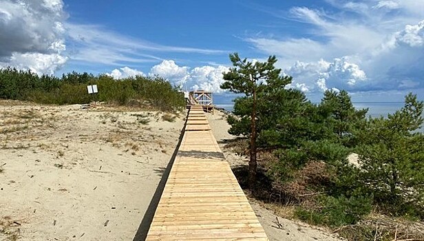 Посетителей Куршской косы попросили не ходить по тропе «Озеро Лебедь», пока там обустраивают настил