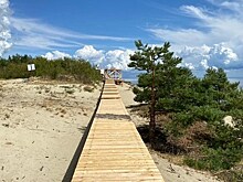 Посетителей Куршской косы попросили не ходить по тропе «Озеро Лебедь», пока там обустраивают настил