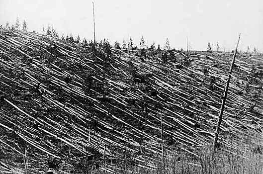 Тунгусский метеорит: что произошло в Сибири в 1908 году