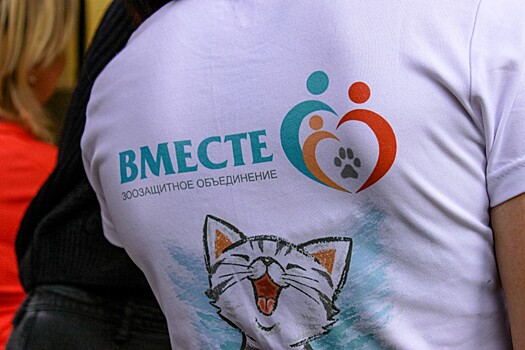 В выходные в Томске пройдет предновогодняя Зообарахолка