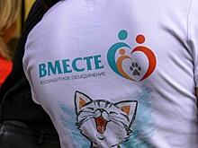 В выходные в Томске пройдет предновогодняя Зообарахолка