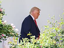 Раскрыты планы Трампа на третий срок