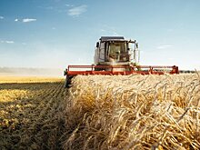Аграриев юга России предупредили о потере до 25% урожая