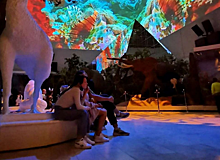 В Дарвиновском музее можно бесплатно посетить зрелищную видеоэкскурсию «Многообразие жизни на Земле»
