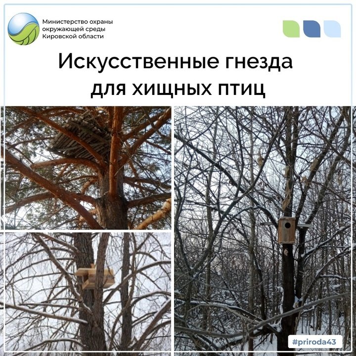 В Вятскополянском районе установили 23 искусственных гнезда для хищных птиц