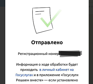 «МИД, примите меры»: родные удерживаемой в Египте туристки написали письмо в министерство