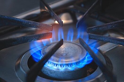 В Эстонии вступил силу запрет на покупку российского природного газа